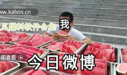 直播爆料吃瓜视频大全在线观看,吃瓜视频大全，带你一网打尽热门事件！
