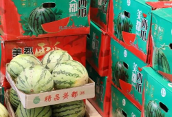 长垣吃瓜最新事件爆料,最新爆料揭秘背后真相