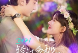 爱情青春电视剧大全,那些年我们一起追过的美好时光