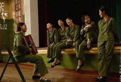 芳华电视剧,青春岁月里的梦想与奋斗